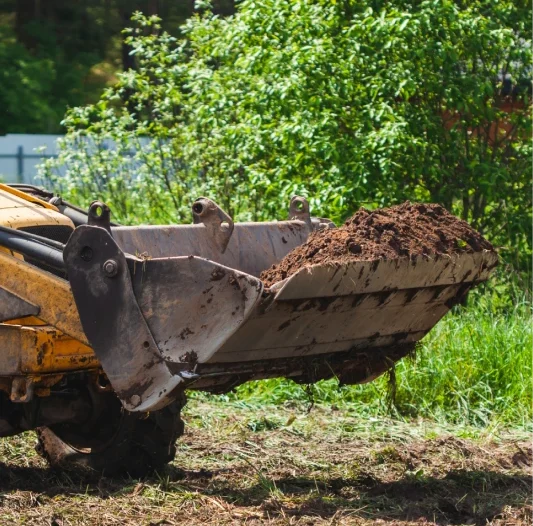 Land Clearing 1